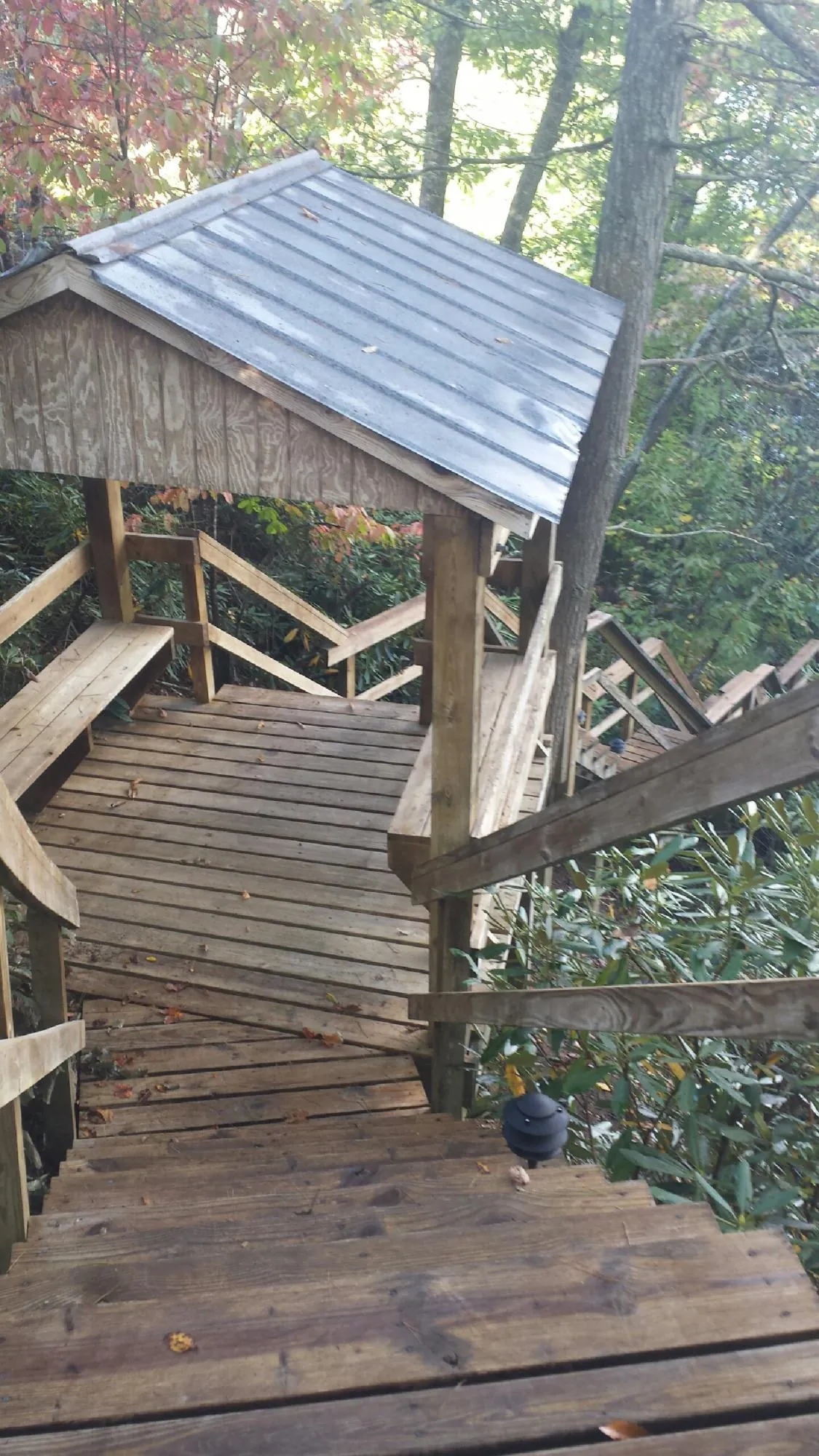 Metal roofed shelter over wooden steps on a wooded walkway — Skylight Repair & Installation work by our crew in Dunreith